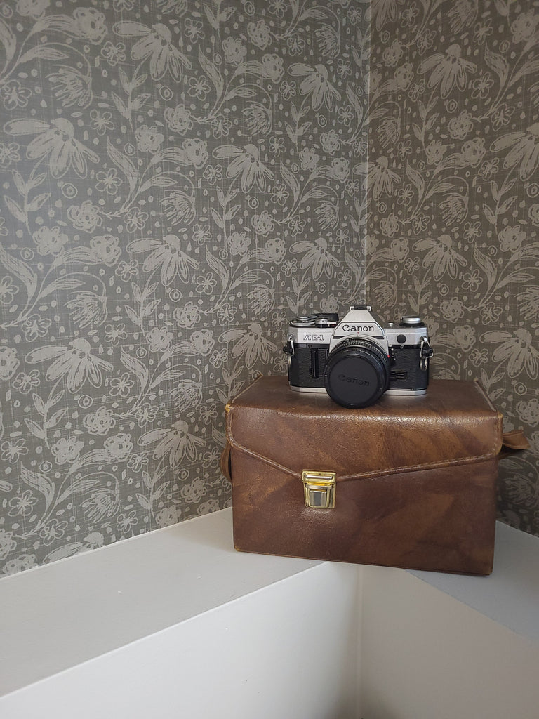 Vintage Cannon Camera on a ledge with dainty green whimsical removable wallpaper