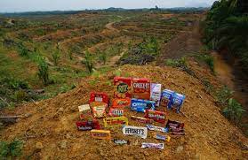Products Made From Palm Oil