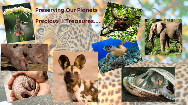 Preserving Our Planets Precious Wildlife