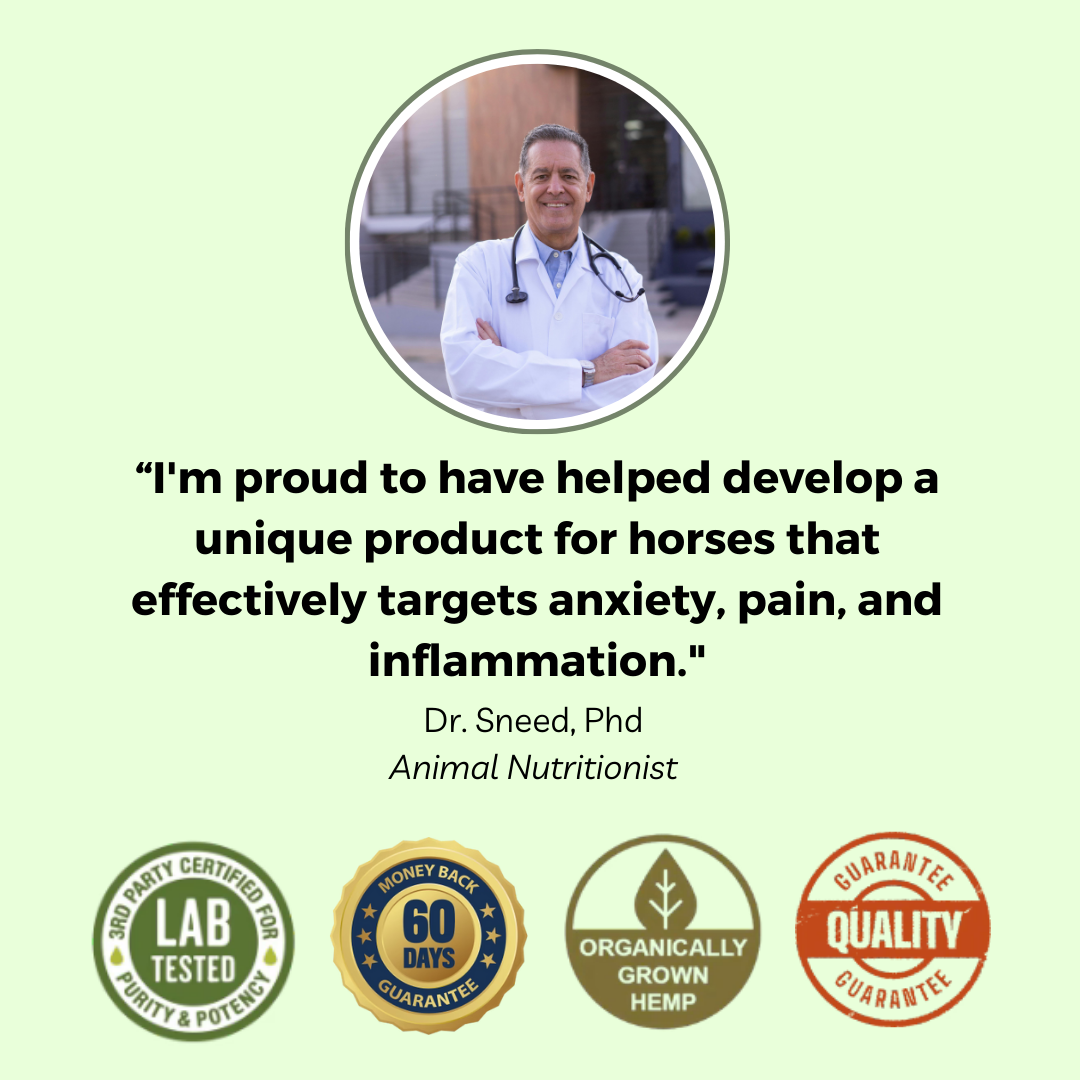 Promotional image with a quote from Dr. Sneed about a horse product targeting anxiety, pain, and inflammation.