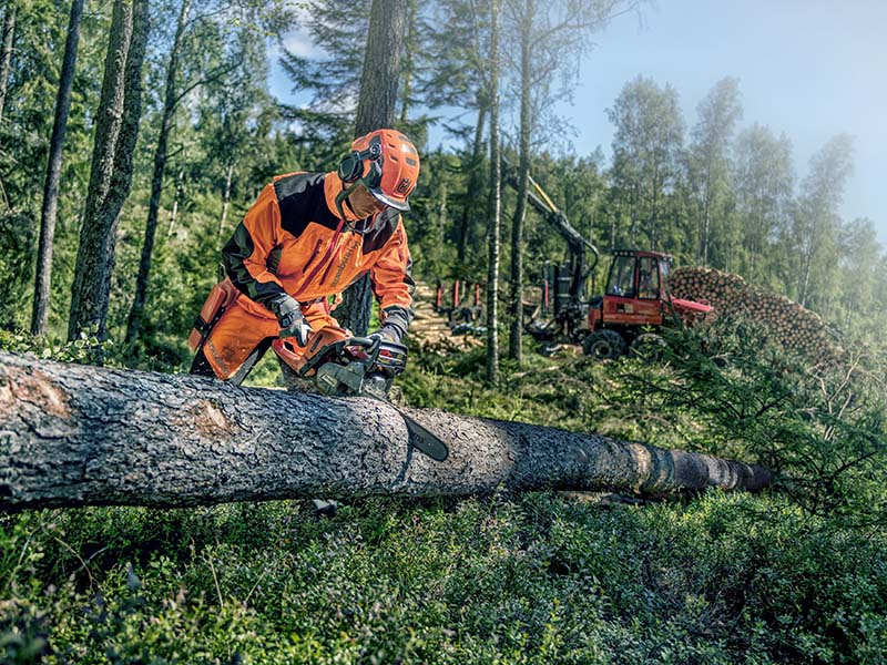 chainsaw cutting