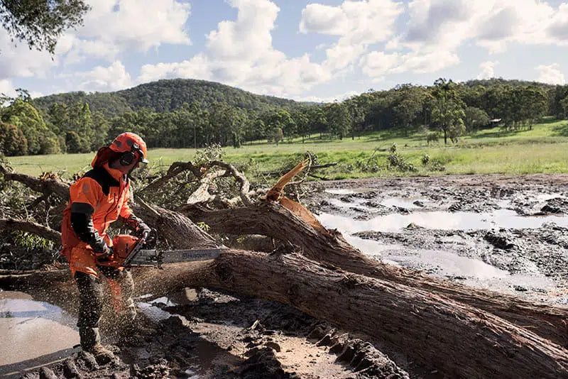 Cutting wed wood with a chainsaw