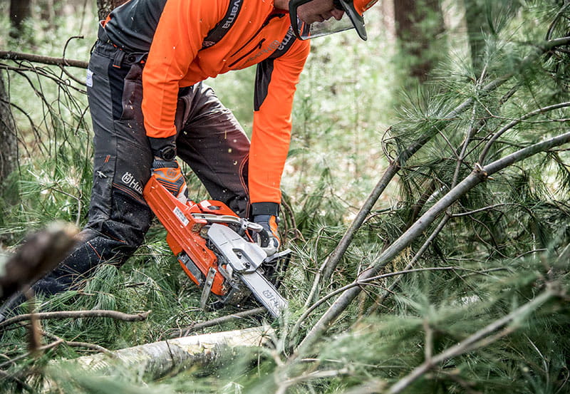 Chainsaw Limbing