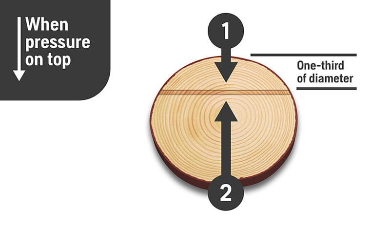 Timber cutting