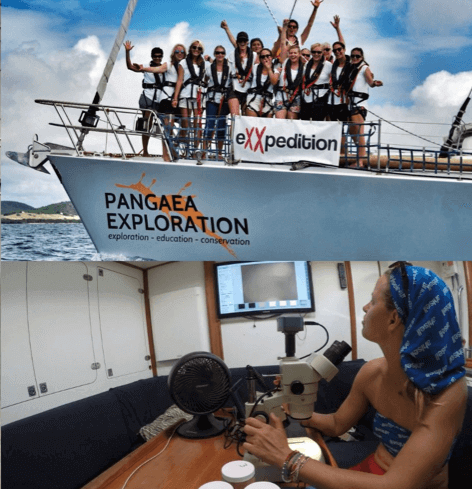 <pictures on board eXXpedition voyage>