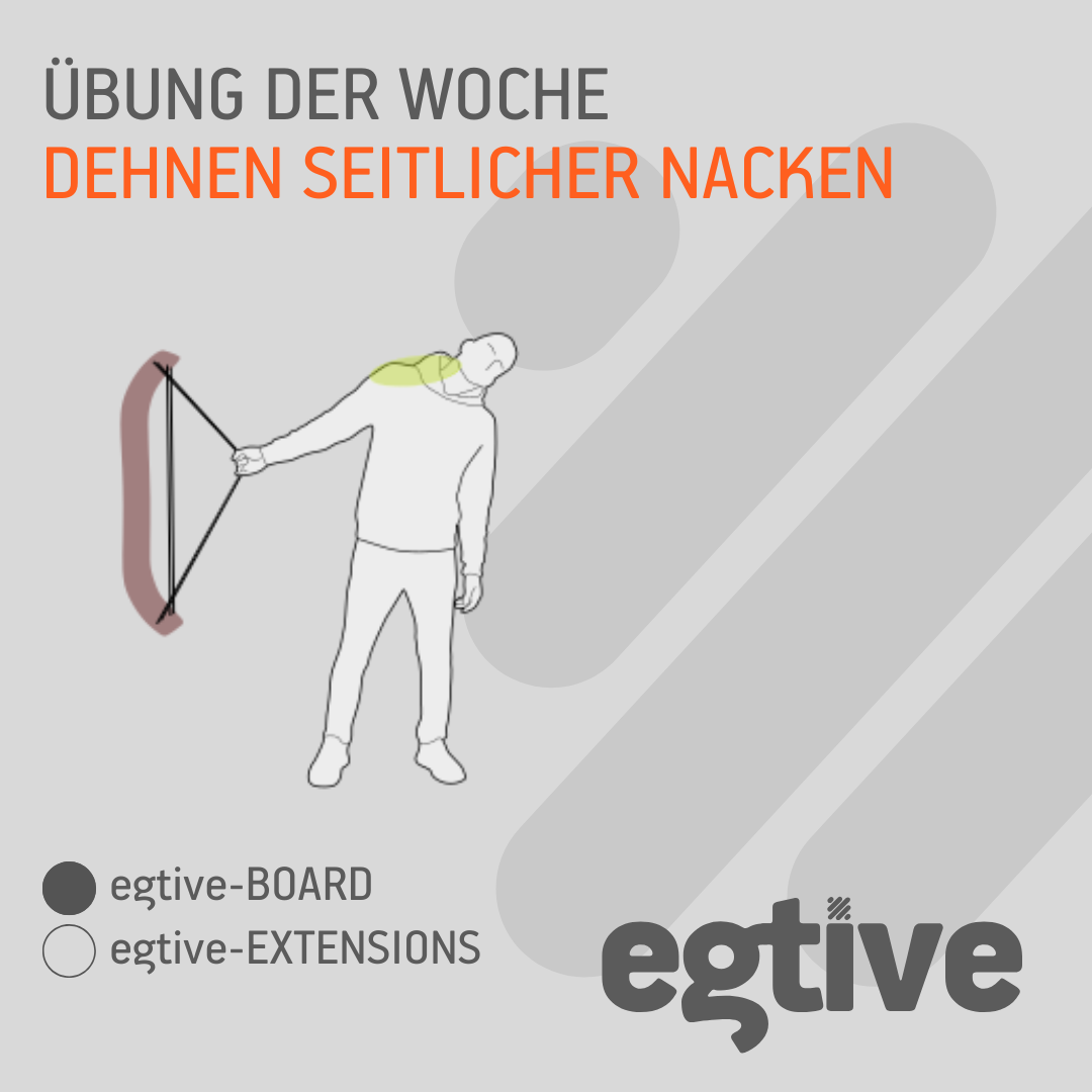 Dehnen: Seitlicher Nacken