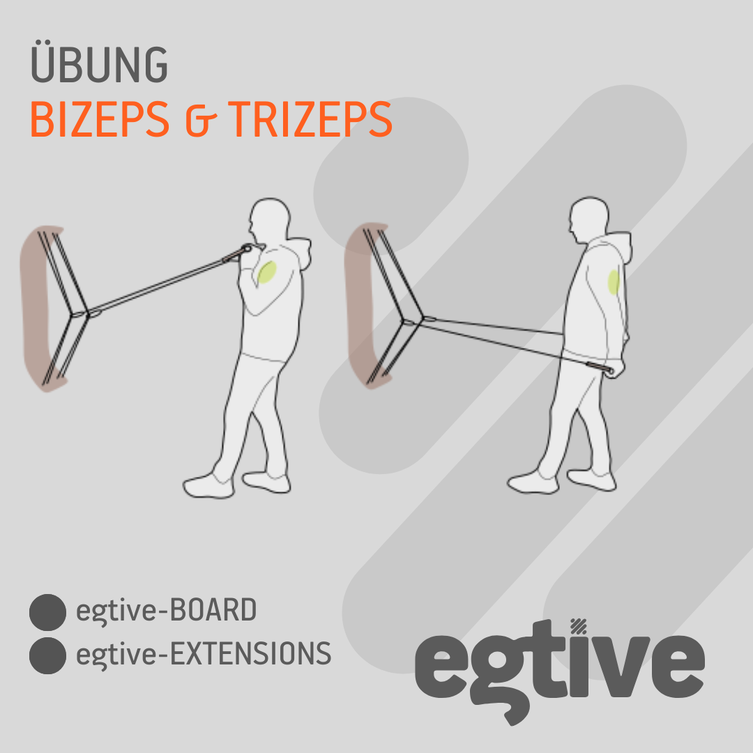 Arme: Bizeps & Trizeps