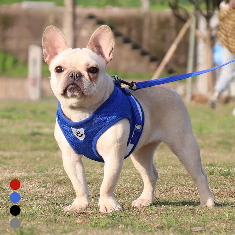 Pet Dog Harness with Leash Set Reflective Safety Harnesses Vest Puppy Cat Chest Strap for Small Medium Pug Chihuahua Bulldog