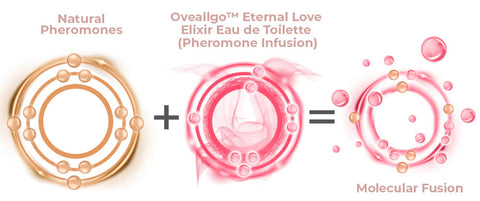 ANWX Oveallgo™ Eternal Love Elixir Eau De Toilette (Pheromone Infusion)