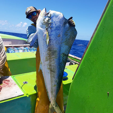 Mahi Fishing