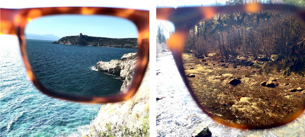 Polarized Lenses