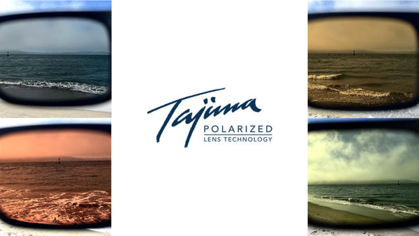 Tajima Polarized Lens Tints