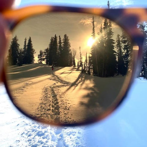 View Through Brown 15 Tajima Lens in Snow
