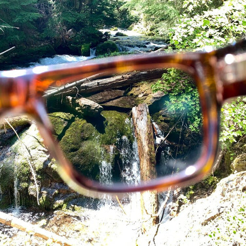 View Through Tajima Gray