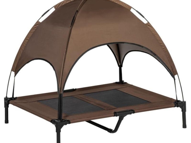 Best Canopy Style Bed for Small to Medium Dogs