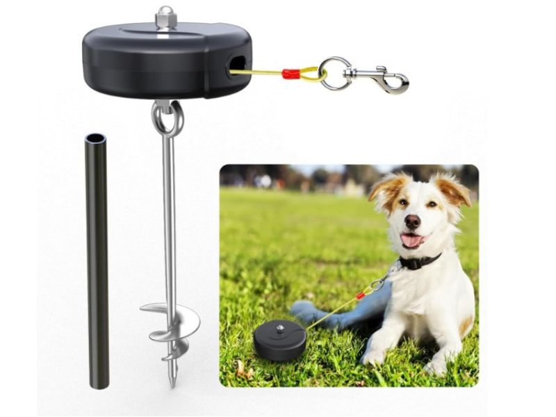 Top Option for Small to Medium-Sized Dogs