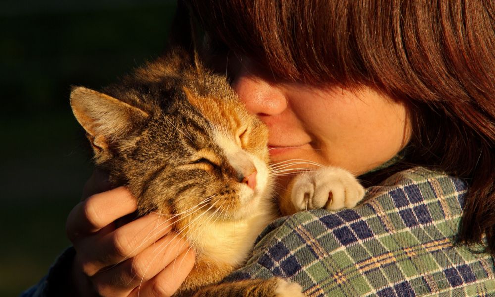 cat at peace snuggling in owner's arms