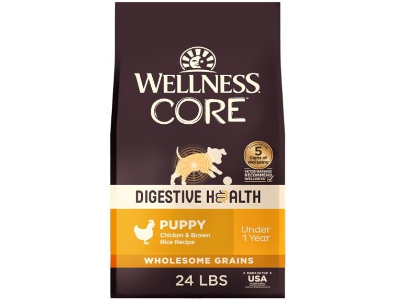 Best for Puppies – Wellness Core Digestive Health Puppy Kibble (product image)