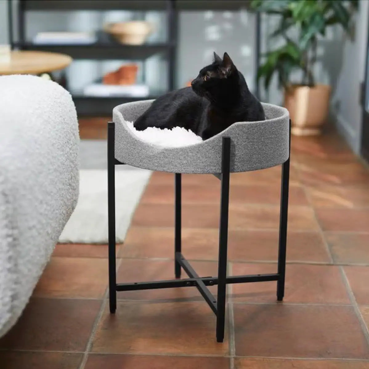 A black cat on a metal framed raised bed (gray bed) in home.