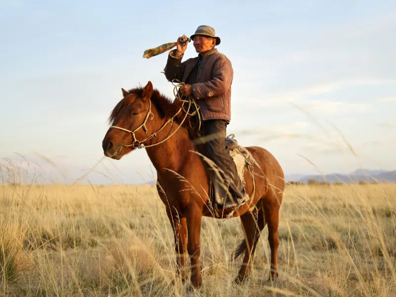 mongolian horse with human