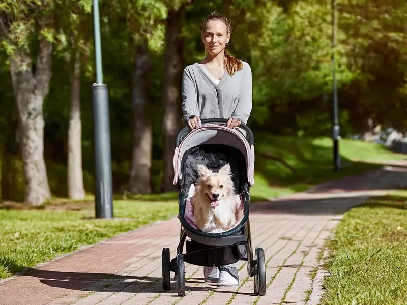 A woman walking her dog in a pet stroller on a paved brick path with grass and trees on the side.