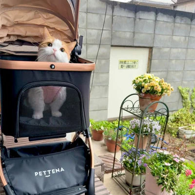 可愛い猫カート