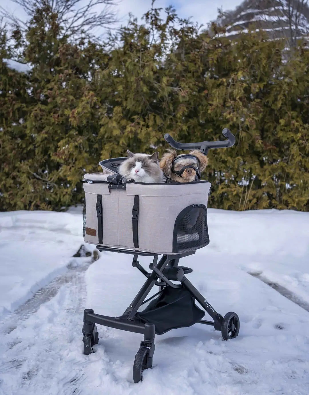PETTENA軽量コンパクトペットカートPETITEで猫と小型犬を連れて雪を見る写真
