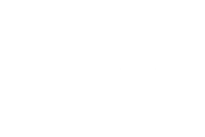 Wonderlic