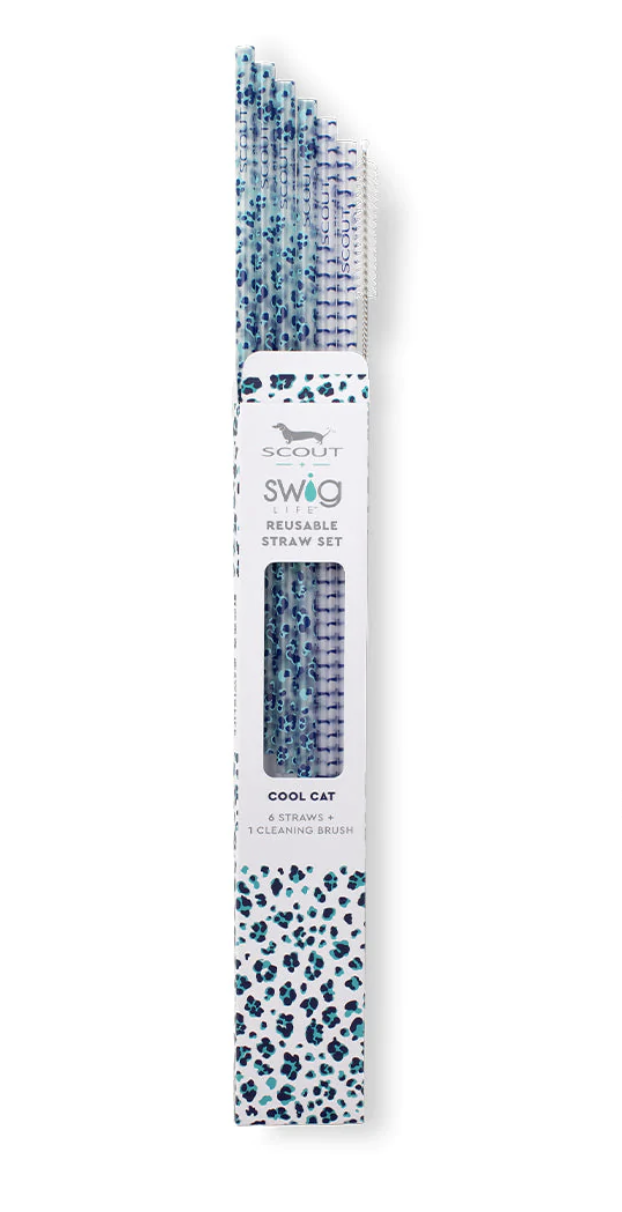 Swig Clear/Aqua Reusable Straw Set