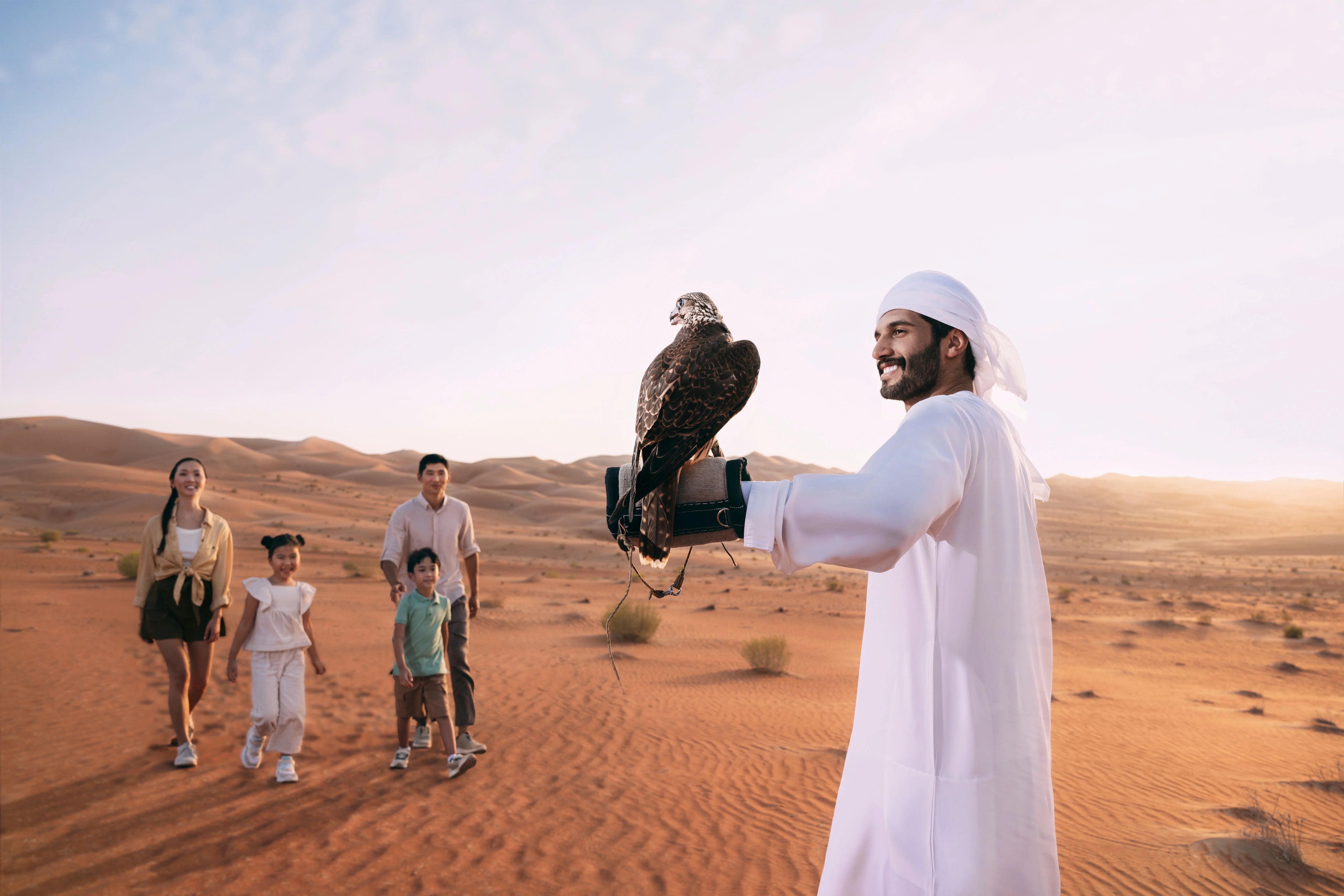 Discover the Art of Falconry in the UAE