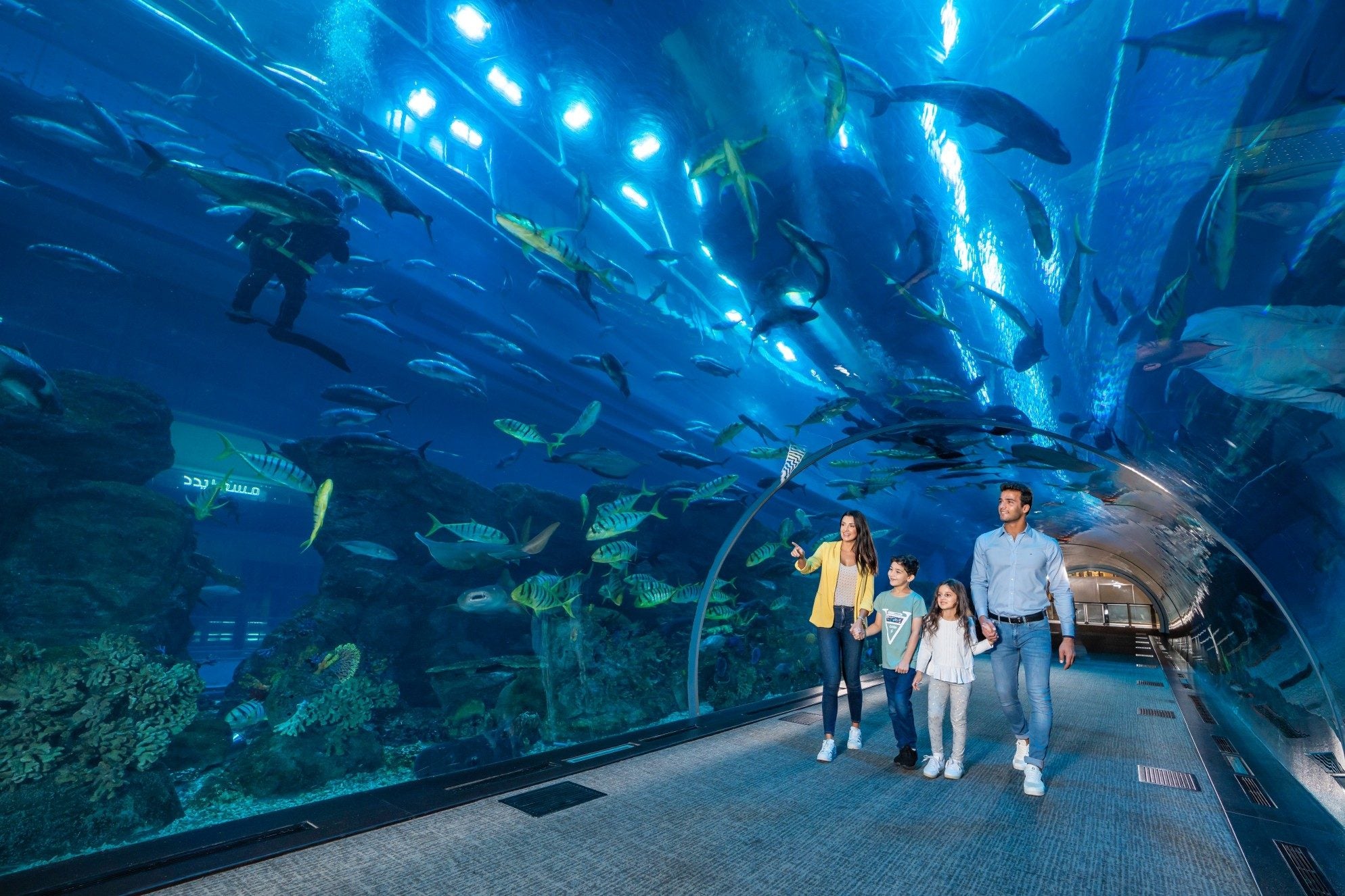 How About You Visit  Dubai’s Aquarium and Underwater Zoo