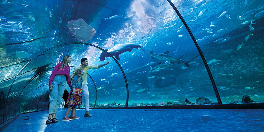 Voucher Pass to Abu Dhabi National Aquarium