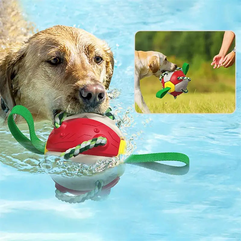 Interactive Dog Football Soccer Ball-Canine sports