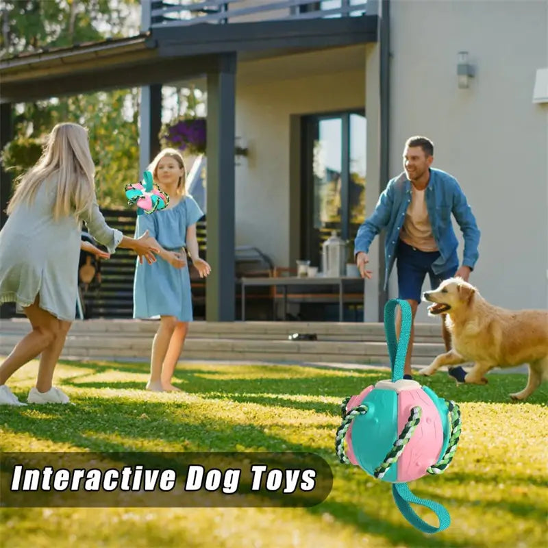 Interactive Dog Football Soccer Ball-Canine sports