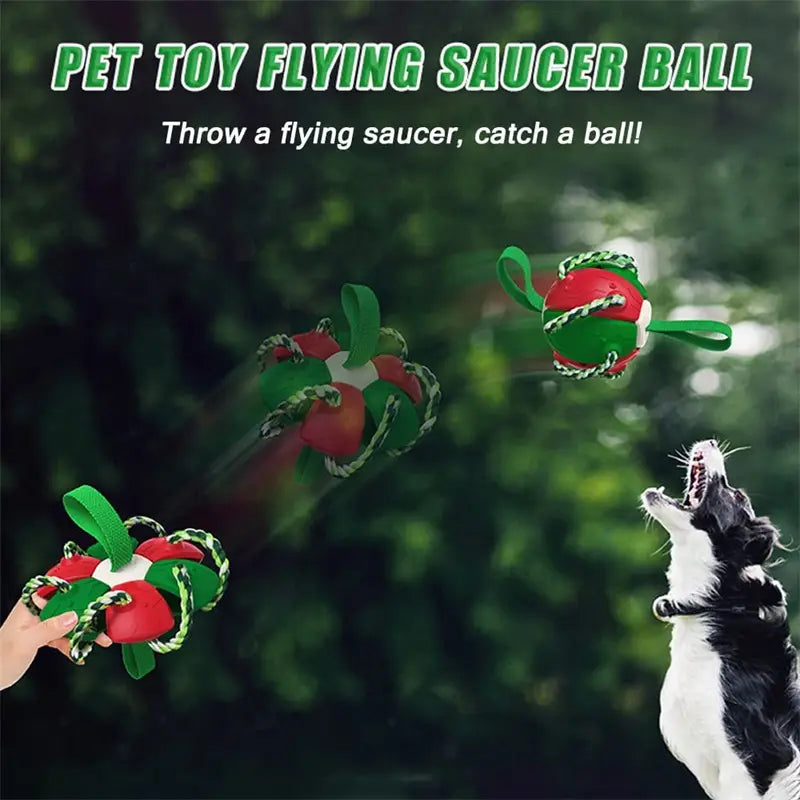 Interactive Dog Football Soccer Ball-Canine sports