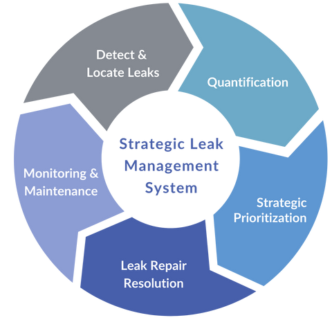 Prosaris Strategic Leak Management Cycle