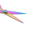 rainbow color hair scissor's blades and adjusting screw