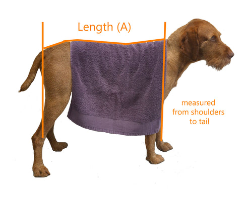 HOW TO MEASURE YOUR DOG – Freckles Designs