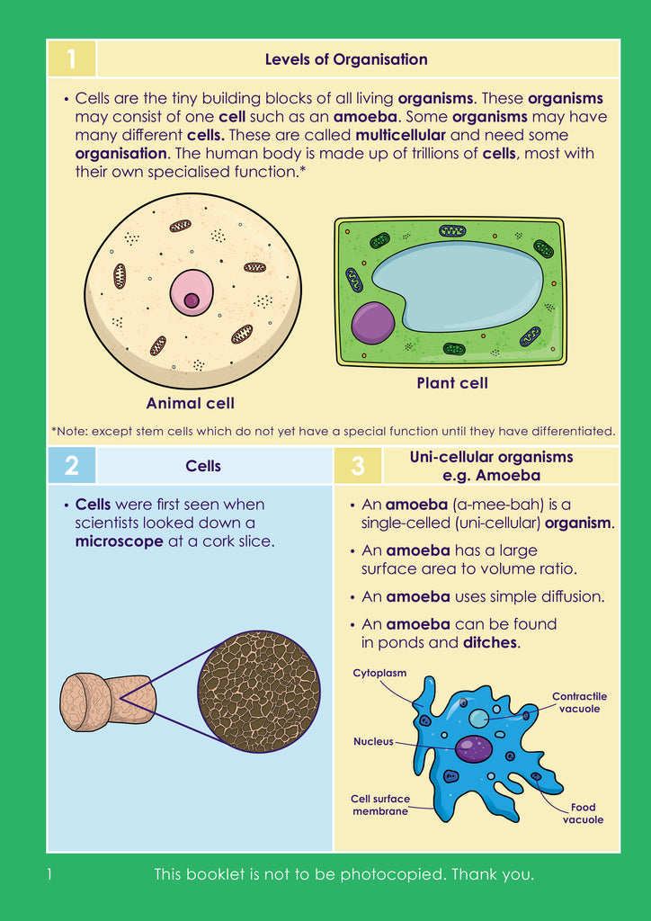 ks4-gcse-biology-cell-biology-pack-resources-for-dyslexics