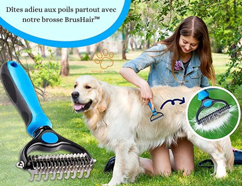 brosse pour chien