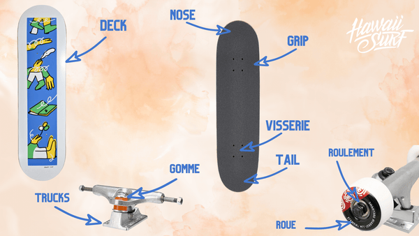 composants skateboard
