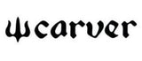 logo carver surfskate