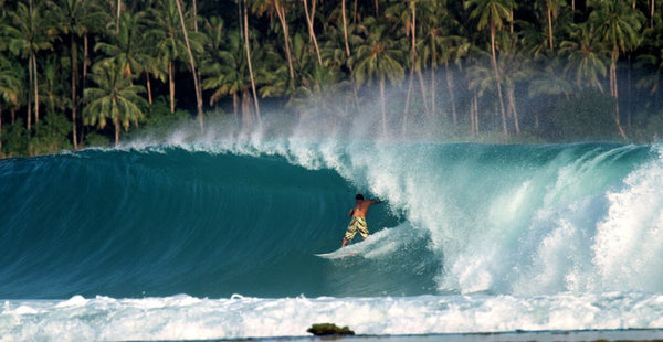 surf trip indonésie