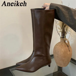 Aneikeh Brown Design Pointed Toe Women Knee-High Boots Designer Party Street Long Booties - Latifa Beauty