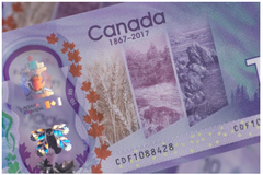 Commemorative Kenojuak Ashevak $10 Note I Northern Expressions