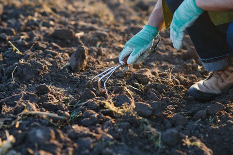 Soil preparation