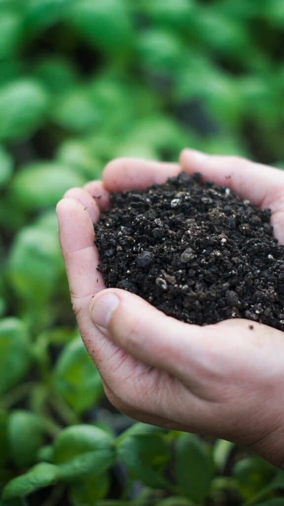 Hands holding soil