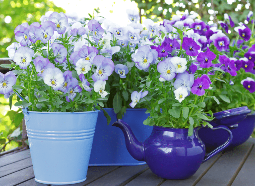 four different container styles in shades of blue with flowers growing out of them 