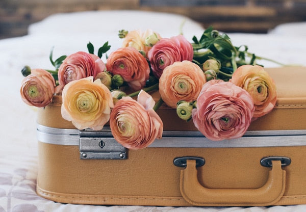 Pink and orange ranunculus on a suitcase