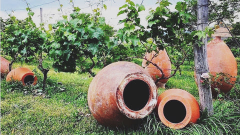 葡萄畑とクヴエヴリ（ジョージアのワイン造りに使用される壺）